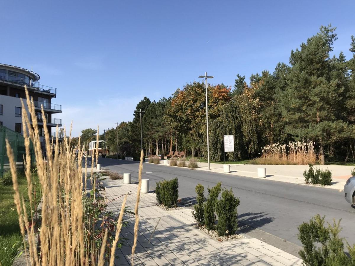 View & Sky Sea- Maloves - Prywatny Na Wynajem -widok Na Morze ,taras ,aneks Апартаменти Владиславово